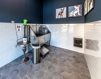Pet spa